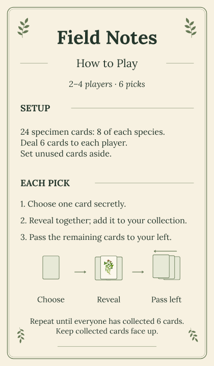 Rules & Scoring, Reference Cards