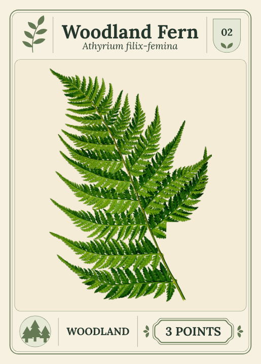 Woodland Fern, Specimen cards