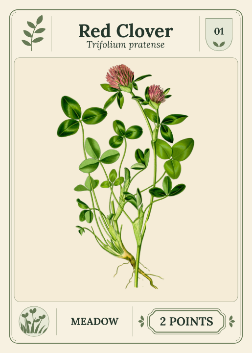 Red Clover, Specimen cards